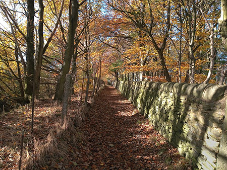 Wall in Autumn